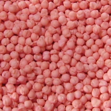 Millions Strawberry